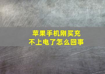 苹果手机刚买充不上电了怎么回事