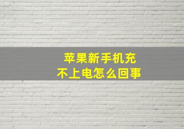 苹果新手机充不上电怎么回事