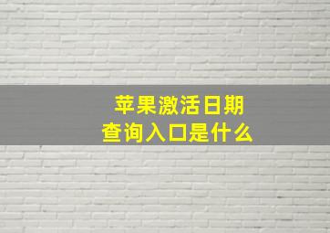 苹果激活日期查询入口是什么