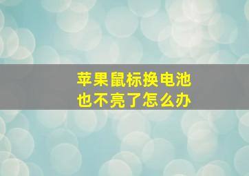 苹果鼠标换电池也不亮了怎么办