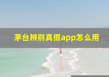 茅台辨别真假app怎么用