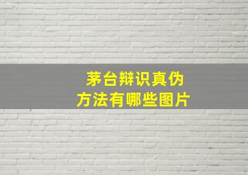 茅台辩识真伪方法有哪些图片