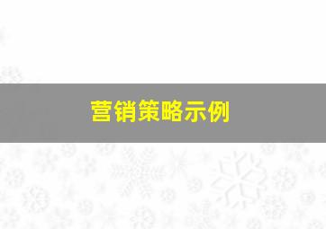 营销策略示例