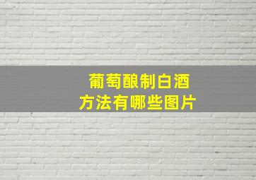 葡萄酿制白酒方法有哪些图片