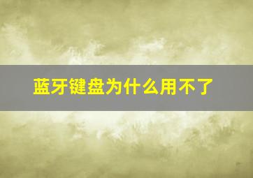 蓝牙键盘为什么用不了