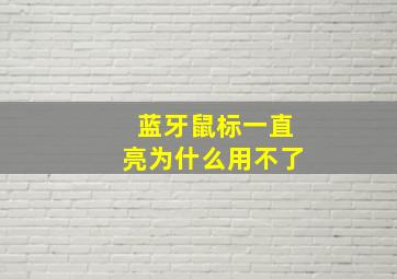 蓝牙鼠标一直亮为什么用不了