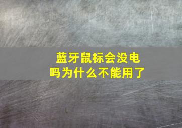 蓝牙鼠标会没电吗为什么不能用了