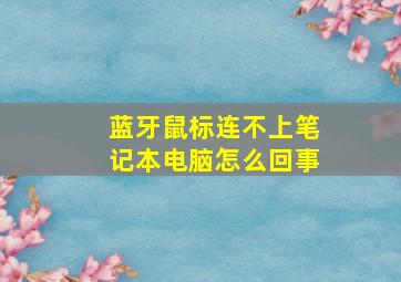 蓝牙鼠标连不上笔记本电脑怎么回事