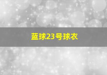 蓝球23号球衣