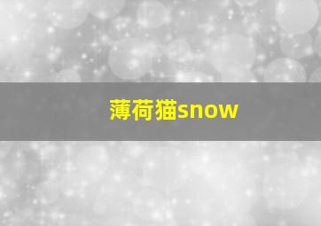 薄荷猫snow