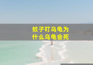 蚊子叮乌龟为什么乌龟会死