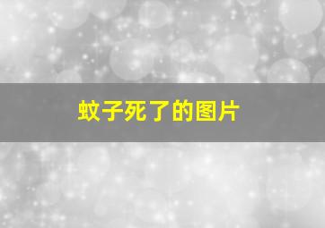 蚊子死了的图片