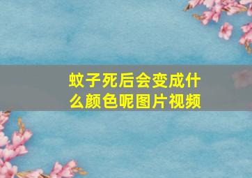 蚊子死后会变成什么颜色呢图片视频