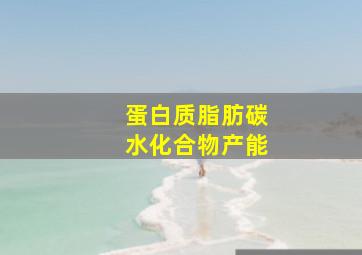 蛋白质脂肪碳水化合物产能