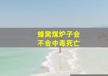 蜂窝煤炉子会不会中毒死亡