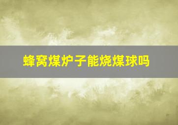 蜂窝煤炉子能烧煤球吗