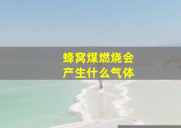 蜂窝煤燃烧会产生什么气体