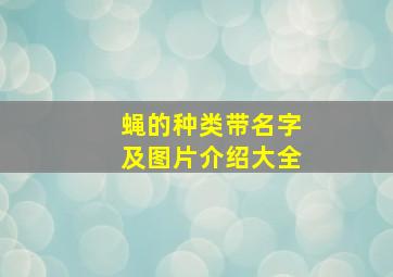 蝇的种类带名字及图片介绍大全