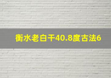 衡水老白干40.8度古法6