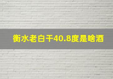 衡水老白干40.8度是啥酒