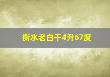 衡水老白干4升67度