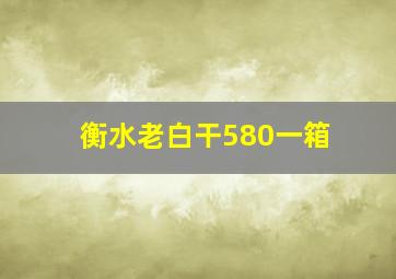 衡水老白干580一箱