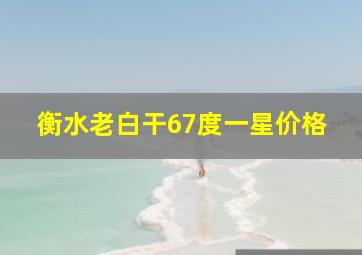 衡水老白干67度一星价格