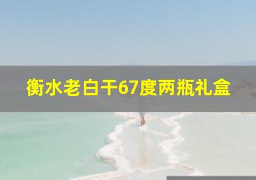 衡水老白干67度两瓶礼盒