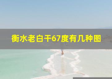 衡水老白干67度有几种图