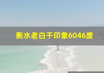 衡水老白干印象6046度