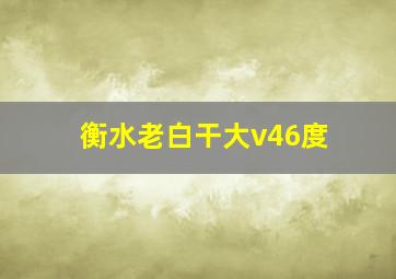 衡水老白干大v46度