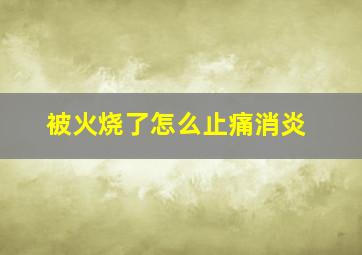 被火烧了怎么止痛消炎