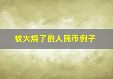 被火烧了的人民币例子