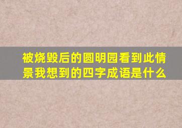 被烧毁后的圆明园看到此情景我想到的四字成语是什么