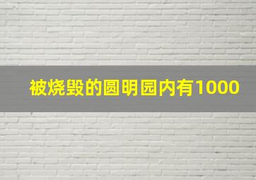 被烧毁的圆明园内有1000