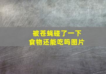 被苍蝇碰了一下食物还能吃吗图片