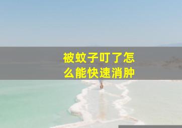 被蚊子叮了怎么能快速消肿