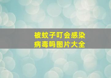 被蚊子叮会感染病毒吗图片大全