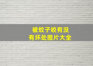 被蚊子咬有没有坏处图片大全