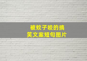 被蚊子咬的搞笑文案短句图片