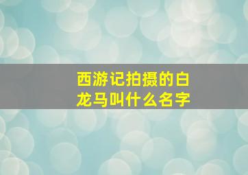 西游记拍摄的白龙马叫什么名字