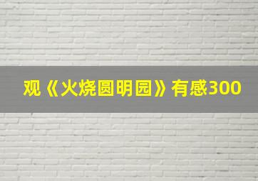 观《火烧圆明园》有感300