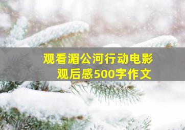 观看湄公河行动电影观后感500字作文