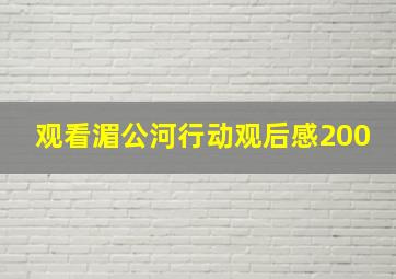 观看湄公河行动观后感200