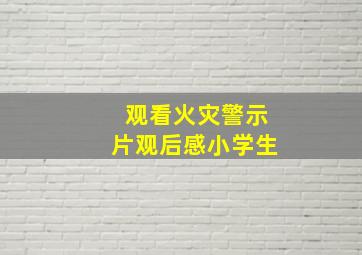 观看火灾警示片观后感小学生