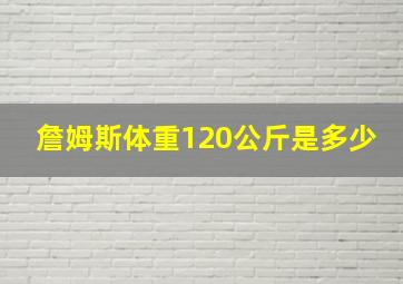 詹姆斯体重120公斤是多少