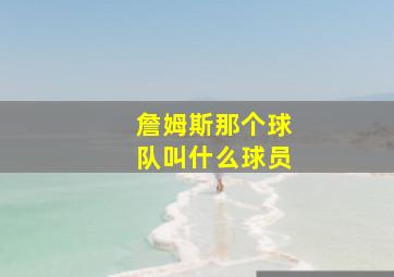 詹姆斯那个球队叫什么球员