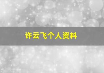 许云飞个人资料