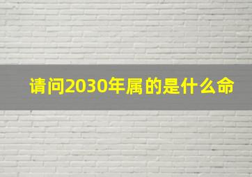 请问2030年属的是什么命