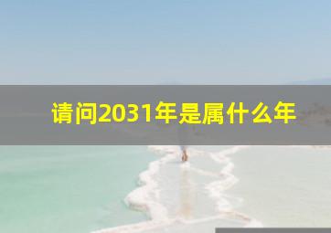 请问2031年是属什么年